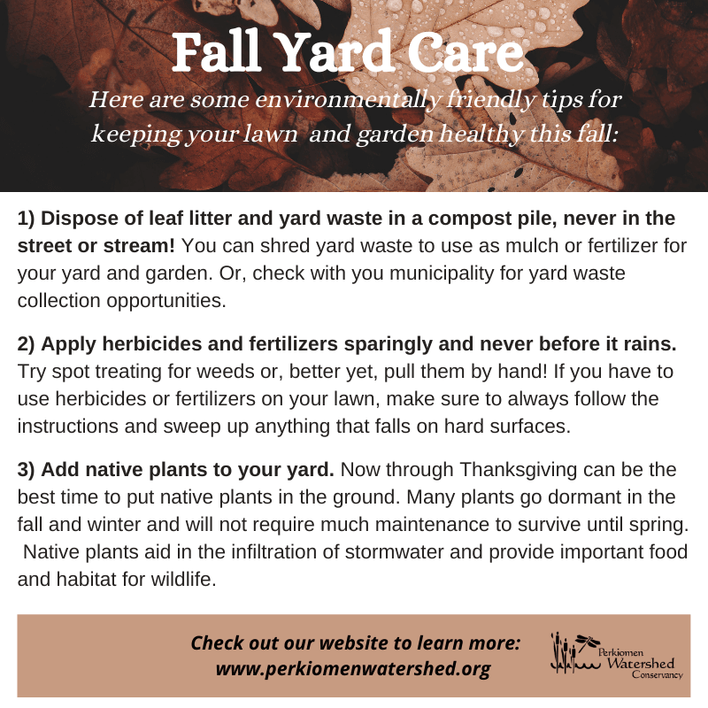 Fall Newsletter 