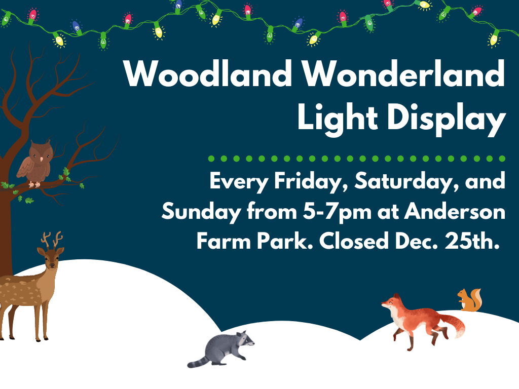 Woodland Wonderland Light Display