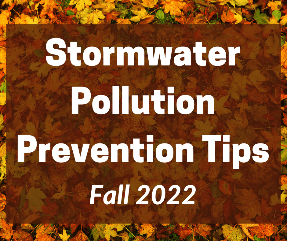 Stormwater Pollution Prevention Tips