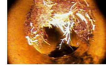 Tree roots in sewer, interior image of pipes