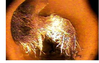 Root growth in pipes, interior of pipes