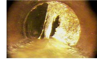 Roots growing in sewers, interior image