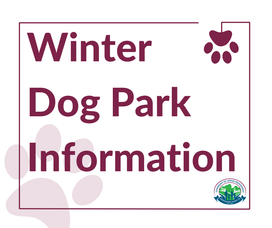 Winter Dog Park Information (2)