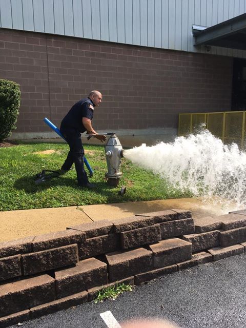 19642430_1761416063883744_5391190730858818464_n