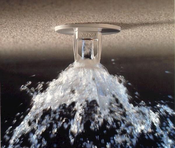 16996239_1599296706762348_8752825203134855424_n