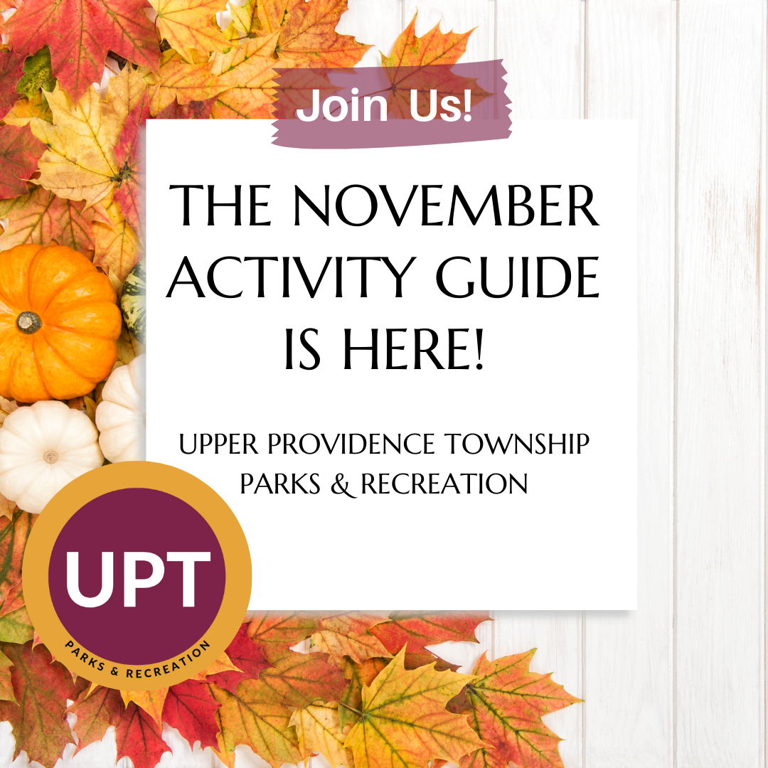 activity guides (10)