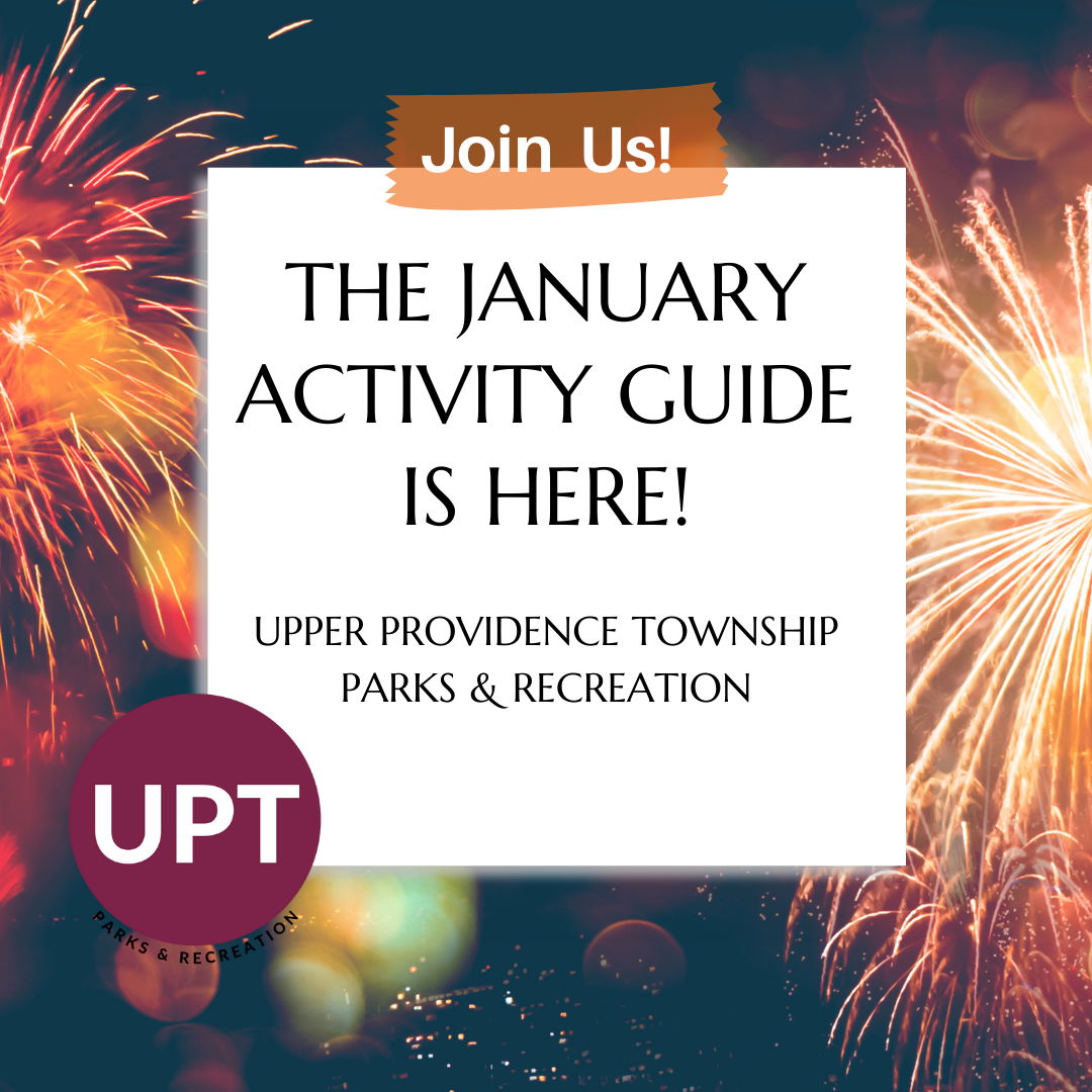 activity guides (12)