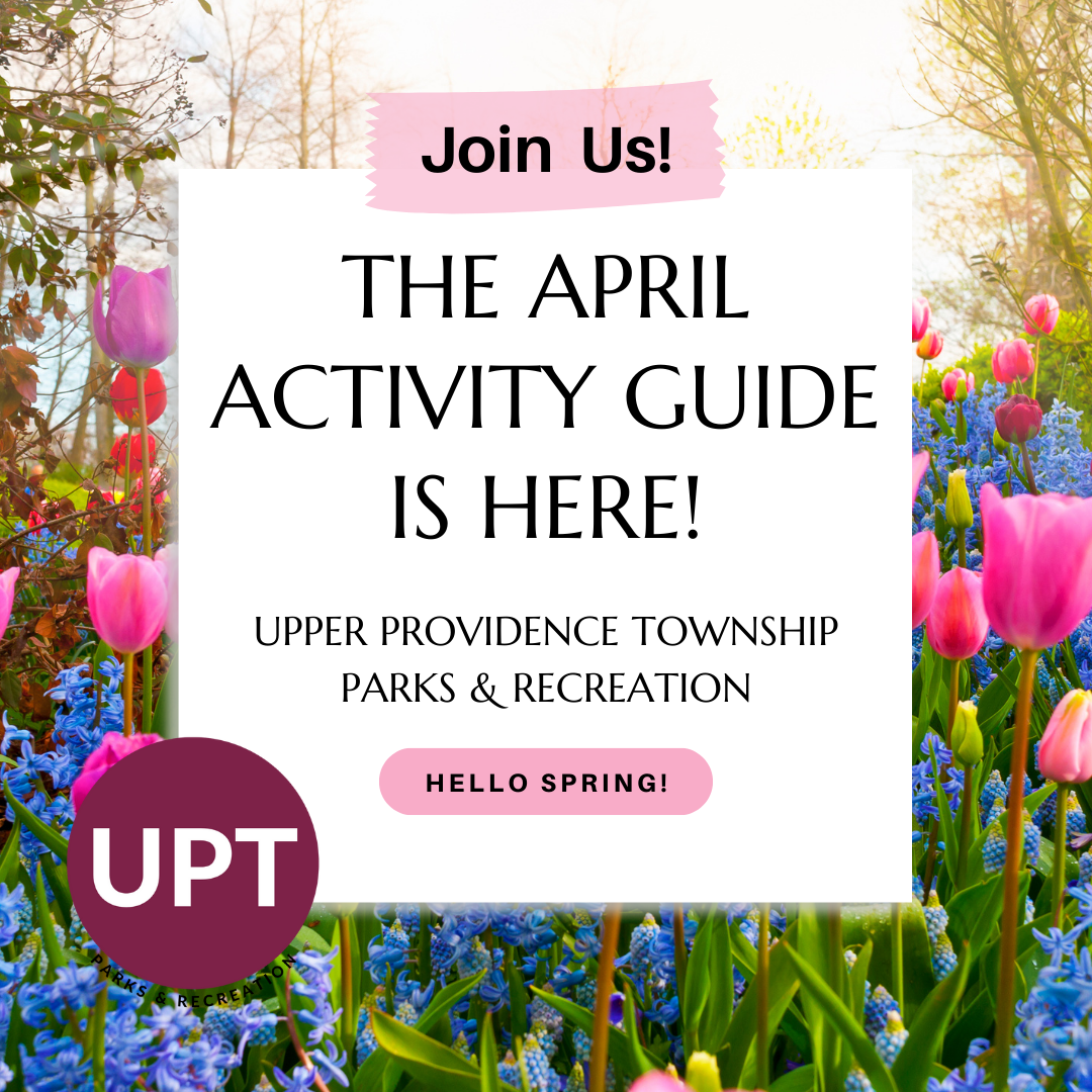 activity guides (14)